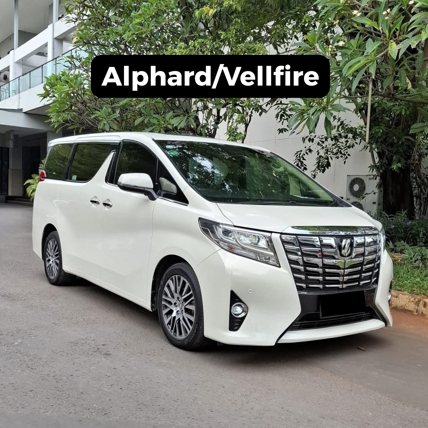 Alphard/Vellfire